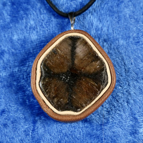 Riipus kiastoliitti nahkasomisteinen ristikivi  ki13