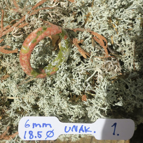 Kivisormus unakiitti 18.5mm leveys 6mm