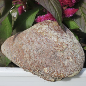 Akaattigeodi 844g jossa ametistikiteitä  AMG844 