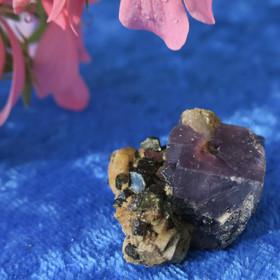 Fluoriitti ja biotiitti 10g Hi171