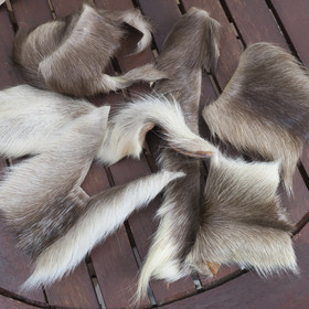 Porontaljan pala M-koko. Aitoa suomalaista poronkarvaa