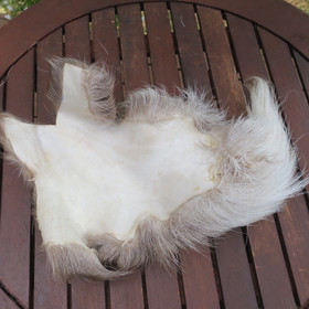 Porontaljan pala valkoinen XXL. Aitoa suomalaista poronkarvaa. Nro 2