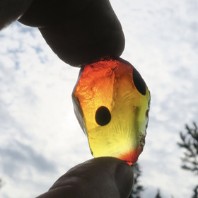 Raakalasi 11g keltaoranssi 2 tummaa pilkkua. nro70