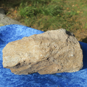 Kukersiitti Viron palava kivi 1287g 160x100x80mm Pohjois-Viro Hi176 