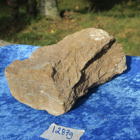 Kukersiitti Viron palava kivi 1287g 160x100x80mm Pohjois-Viro Hi176 