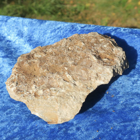 Kukersiitti Viron palava kivi 590g 130x100x45mm Pohjois-Viro Hi176 