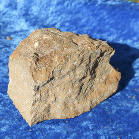 Kukersiitti Viron palava kivi 214g 70x50x45mm Pohjois-Viro Hi176 