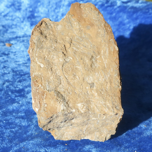 Kukersiitti Viron palava kivi 214g 70x50x45mm Pohjois-Viro Hi176 