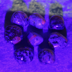 Rubiinizoisiitti Anyoliitti rumpuhiottu Intia. A-laatu. Valitse 10-25g