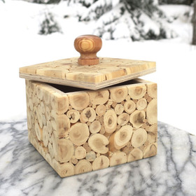 Kataja puurasia irtokannella