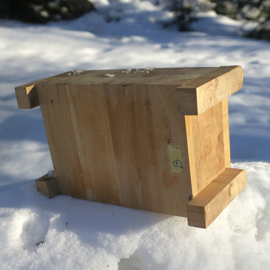 Katajamosaiikki puurasia saranakannella B