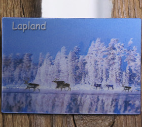 3D-magneetti porot ja luminen metsä