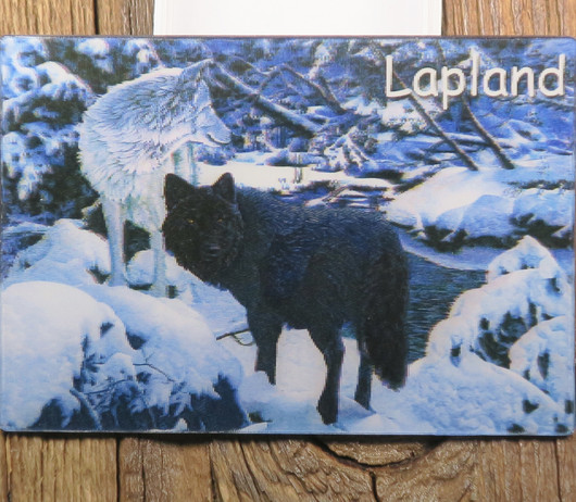 3D-magneetti sudet metsässä