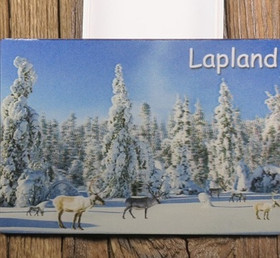 3D-magneetti porot ja luminen metsä