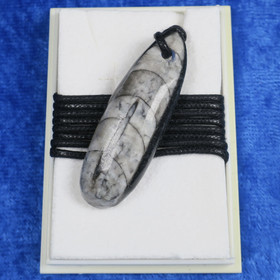 Riipus Orthoceras-oikosarvifossiili porattu R