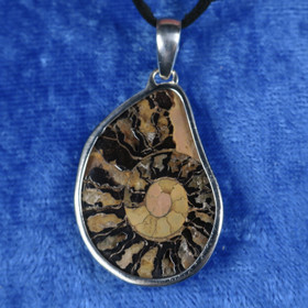 Riipus ammoniitti fossiili 925-hopeaa N