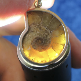 Riipus ammoniitti fossiili, 925-hopea  S