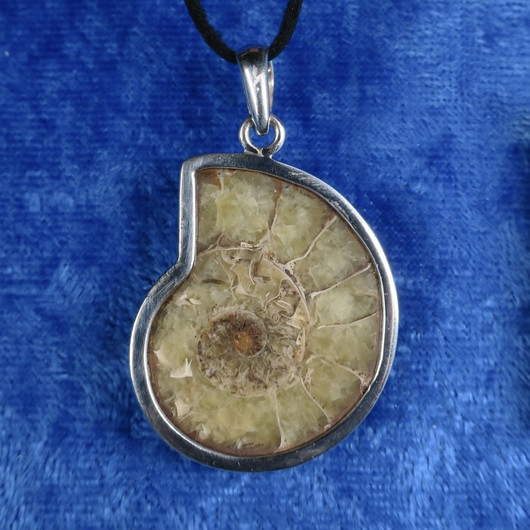 Riipus ammoniitti fossiili, 925-hopea  S