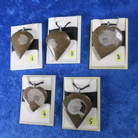 Riipus ammoniitti, sydämen muotoinen fossiiliriipus. Valitse valikosta