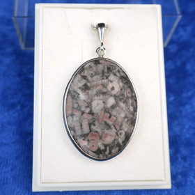 Hopeariipus fossiilijaspis M