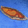 Noreena jaspis pala hieno oranssinkeltainen  164g Australia Hi71B