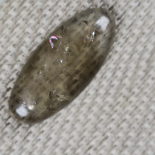 Kapussi savukvartsi 10x23mm cabochon