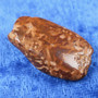 Fossiilikoralli 6g  31x20x8mm