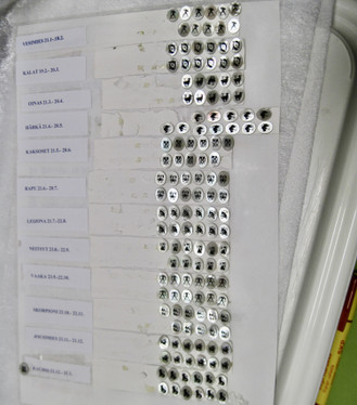 Kapussi helmiäinen astrologiset horoskooppimerkit 8x10mm ovaali