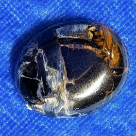 Kapussi pietersiitti  cabochon w22