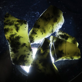 Dendriittiopaali vihreä 3-5g Hi77vi2