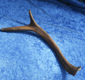 Poronsarvi aito sarvi nroS