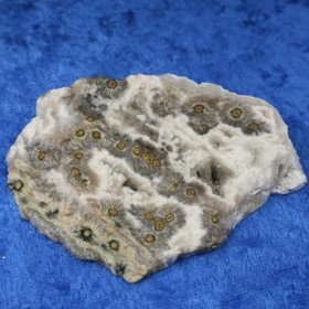 Valtamerijaspis toiselta puolelta hiottu siivu 54g nro19