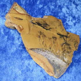 Dendriitti maisemajaspis 43g 80x50mm vahvuus 0-8mm siivu Hi