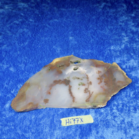 Dendriittiakaatti siivu 114g Hi77x