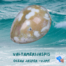  Kivimuna valtamerijaspis n.35mm muna. Valitse nro VJM 1-4 