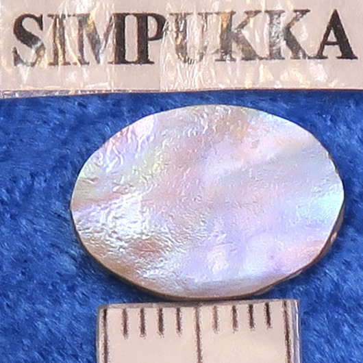 Kapussi helmiäinen 11x15mm ovaali simpukka cabochon