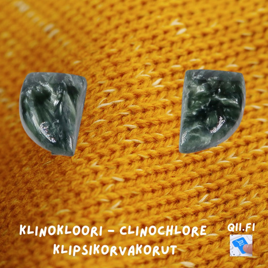 Klipsikorvakorut klinokloori purje 