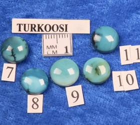Kapussi turkoosi aito 10mm pyöreä cabochon