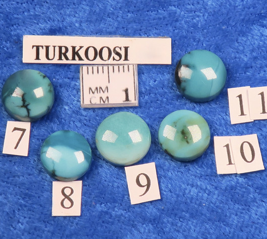 Kapussi turkoosi aito 10mm pyöreä cabochon