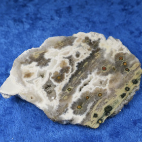 Valtamerijaspis toiselta puolelta hiottu siivu 54g nro19