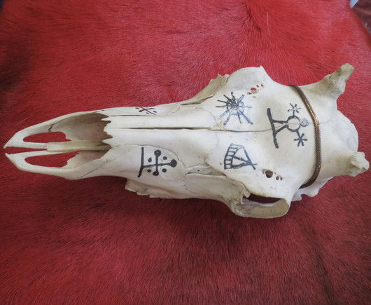 Poron kallo, johon maalattu shamanistisia symboleita, reindeer skull