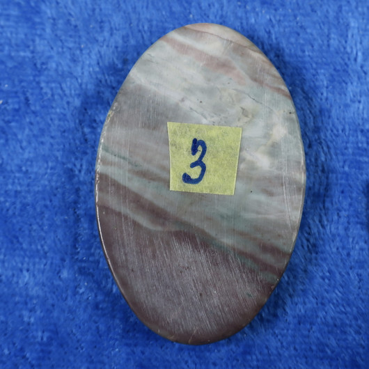 Kapussi kivettynyt puu 43x27x5,5mm ovaali nro3
