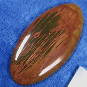 Kapussi kivettynyt puu 55x26mm ovaali 5mm. nro2