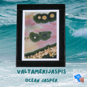 Riipus Valtamerijaspis porattu 3x4cm nro3