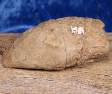 Akaattigeodi PARI 135g nroC Brasilia