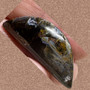 Kapussi pietersiitti cabochon wB5
