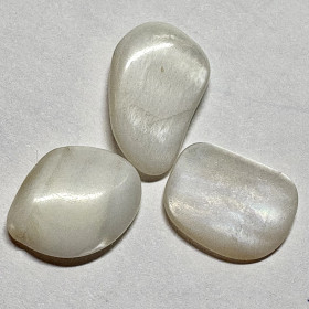 Simpukka helmiäinen 10-18mm 