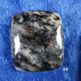 Kapussi astrofylliitti 30x26mm 6mm suorakaide  B8