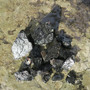 Egiriini raaka. Valitse koko 1-10g