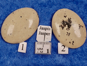 Kapussi jaspis beige 22x30mm ovaali cabochon